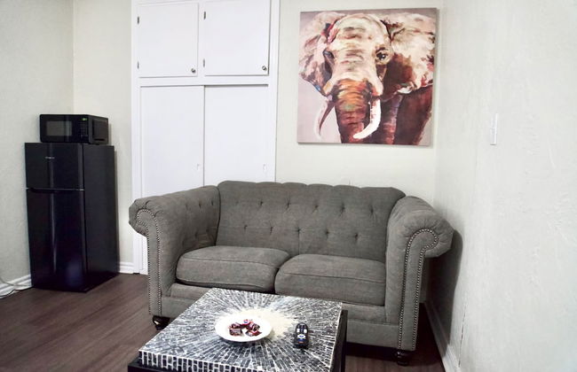 Cozy Home- Zoos Museums Fun Step From Your Door - Photo 3