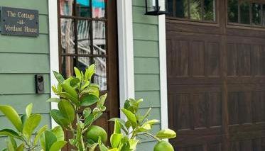 New Construction Cottage in Downtown Savannah Arts District - Foto 2, Garden, Garden view