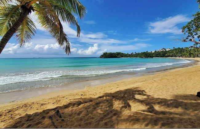 BonitaVillageLasTerrenas 4Beds8Pax - Foto 47