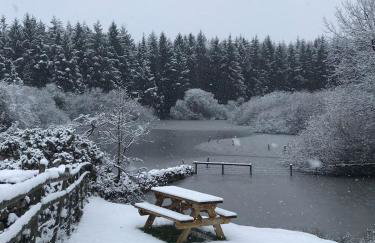 The Barn at Pentregaer Ucha, with tennis court and lake - Foto 22