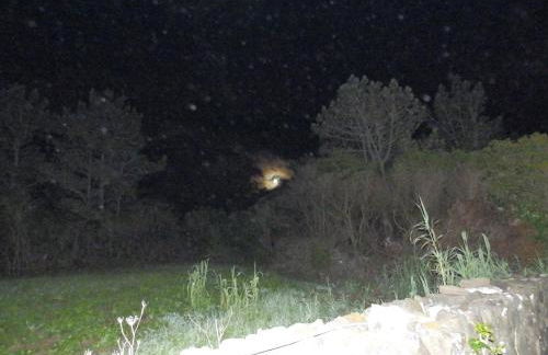 Casas Alto da Bonança - Photo 43