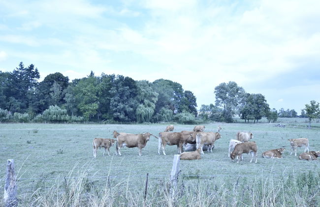 Spacious Apartment in Boddin With Garden - Photo 58