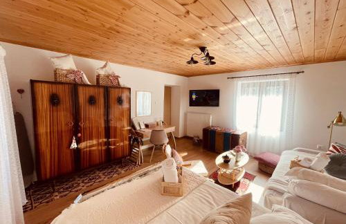 Casa Delicosta- 2 Flat Country house with garden, 15 min from Trikala - Foto 5