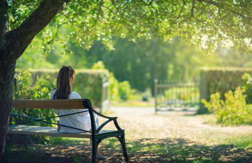 Ferien Haus Im Alten-Land Die Lühe vor der Tür - Photo 29