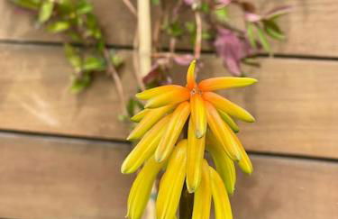 Villa superbe vue mer calme sans vis-à-vis - Foto 12