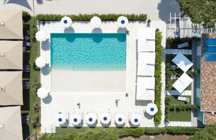 Fiori di Cardo - Agrimare - Foto 9