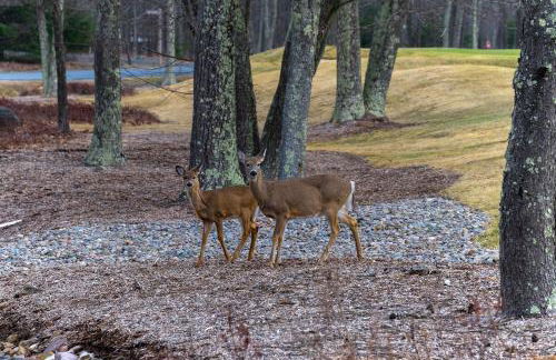Poconos Playtime Paradise Luxury Play Escape - Foto 64