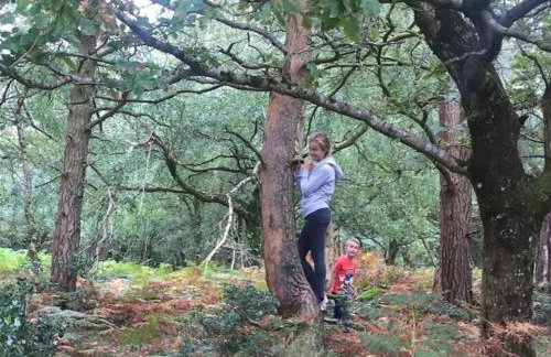 Sea views, private garden, comfortable family and dog friendly home - Foto 6