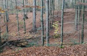 Dom lub apartamenty z widokiem na góry Wichrowe Wzgórza z basenem Brenna - Foto 41