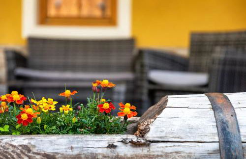 Cèsa Raggio di Sole - Foto 65