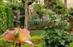 La Casa di Gigliola - Foto 7