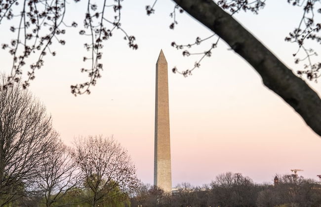 Kasa Alexandria Washington - Foto 43