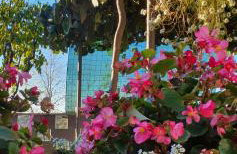 Apartman M&M Žminj - Foto 30