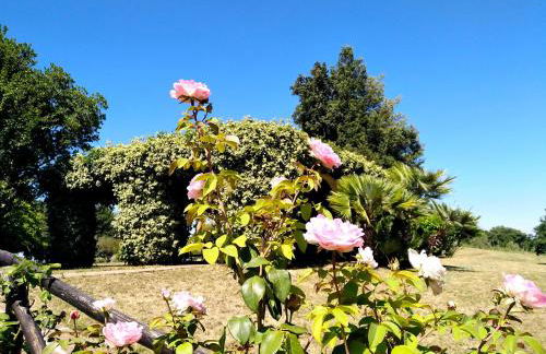 Locanda Rosati - Foto 37