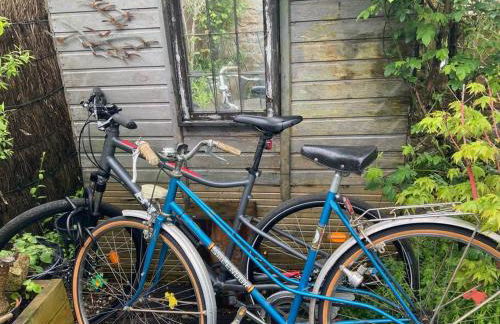 KER MAJA : Charmante Maison 1930 * Jardin * 2 vélos * WIFI - Foto 27