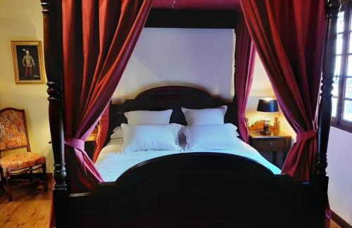 MAISON DE NOSTRADAMUS*** OCCITANIE INSOLITE - Foto 43