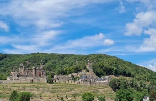 Wohnen am schönen Mittelrhein Weltkulturerbe - Foto 16