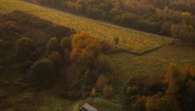 Borek Mała Przystań - Foto 2