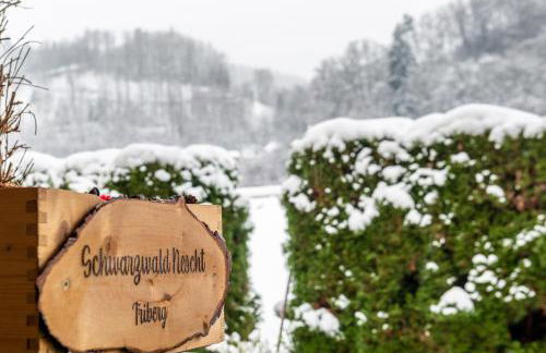 Schwarzwald Nescht Triberg - Foto 13