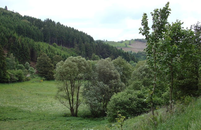Cosy Apartment in Hallenberg Near Centre - Foto 78