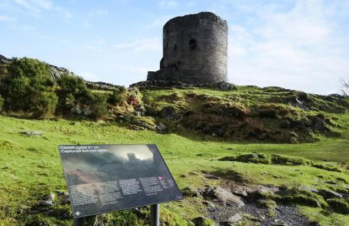 Maes Derlwyn - Photo 21