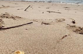 Naay Villas - Flat Beira Mar - Sao Miguel dos Milagres - Foto 33