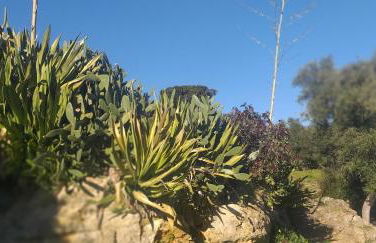 Pateo da Memória-Casa do Artesão - Foto 17