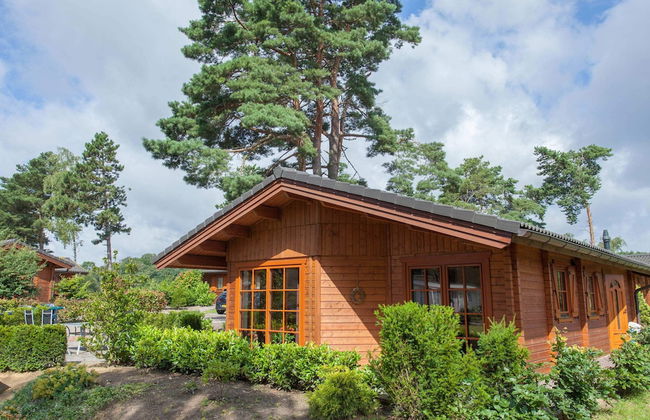 EuroParcs De Achterhoek - Photo 12