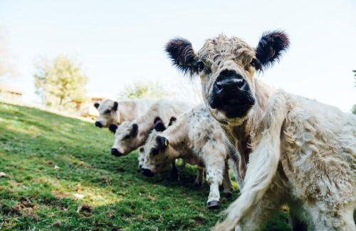 Ferienwohnung Heuboden - Foto 7