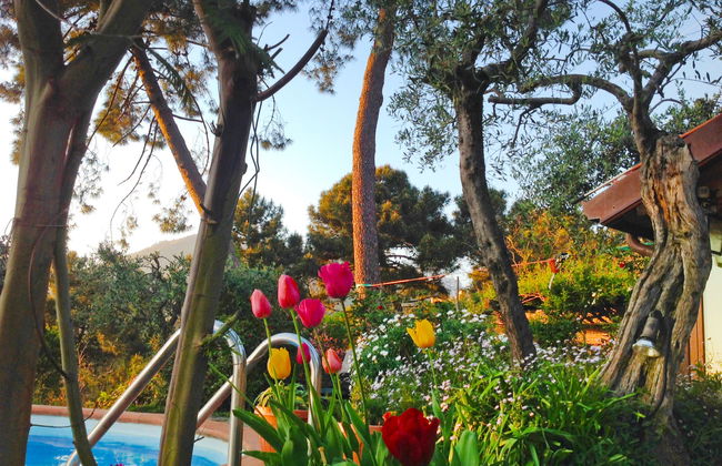 Villa Poggiobello - Foto 26