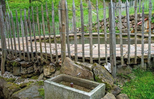 Infanglalm "attersee" - Foto 26