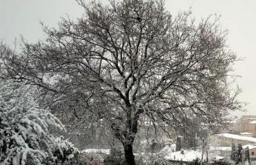 Il colle dei Frati - Foto 20