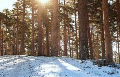 Casa Urbión-Pinares de Soria - Foto 45