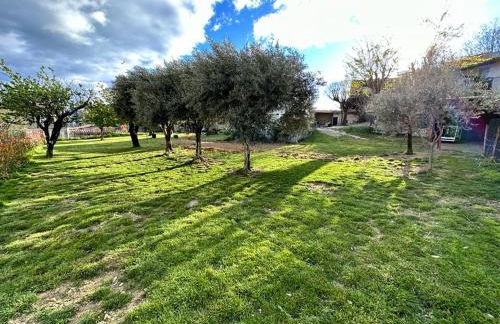 La Picholine - Foto 18