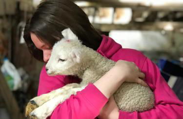 Amazing Sunsets and Sea Views - Lodge Cabin Farm Stay - Caol Ila - Lodge 8 - Photo 22