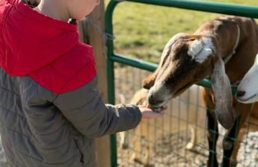 Cozy Cottage on 250 Acre Dairy Farm Near Ark - Foto 49