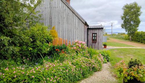 Small cosy bothy - Photo 1, Garden