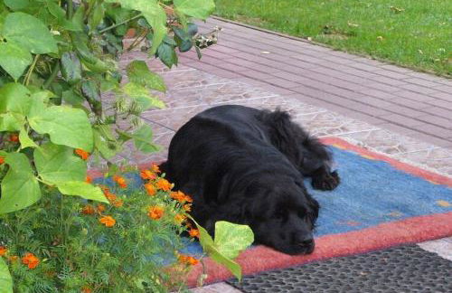 Holiday home, oasis of peace, Polanow - Photo 32