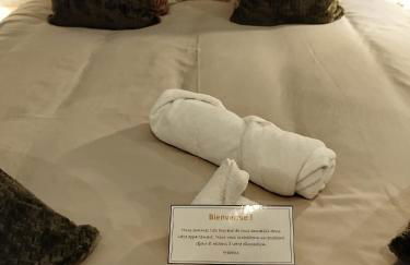 Nancy Vieille ville Stanislas - Foto 55