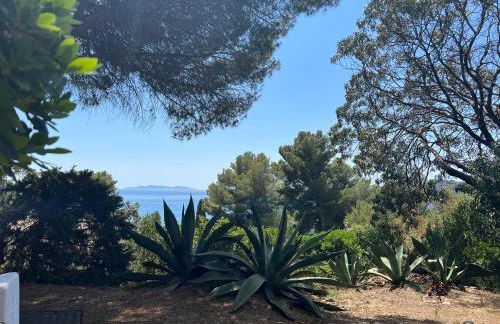 Les Stoechades - Foto 9