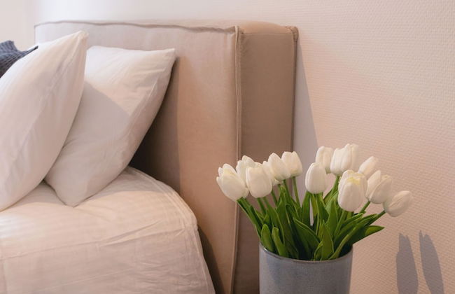 Origer Apartments - Photo 5