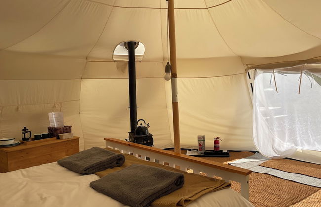 Nest and Nurture - Photo 12