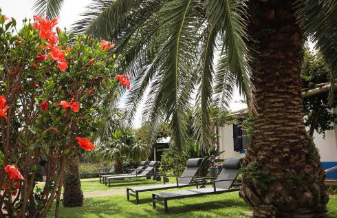 Vila Pilar Praia - Rural Apartment in the countryside of São Miguel - Photo 28