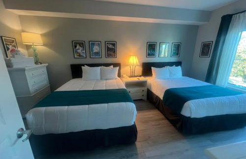 Free Shuttle Mickey Universal Epic SeaWorld - Foto 75