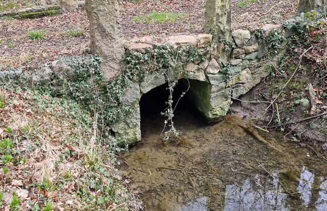 Luxury Spa Retreat in Lolland - By Traum Ferienwohnungen - Foto 17