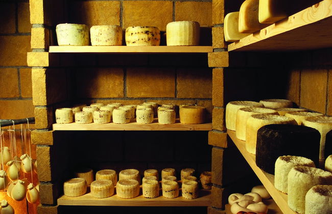 Agriturismo Villa Dafne - Foto 40