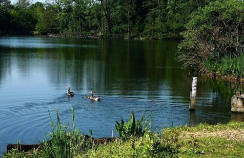 Luxury House with Garden near Chopin Airport - Foto 42