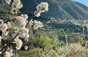 El Mirador de Benialfaqui, apartamento Els Olivers - Foto 31