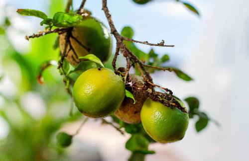 Villa Coco Bay - Foto 43