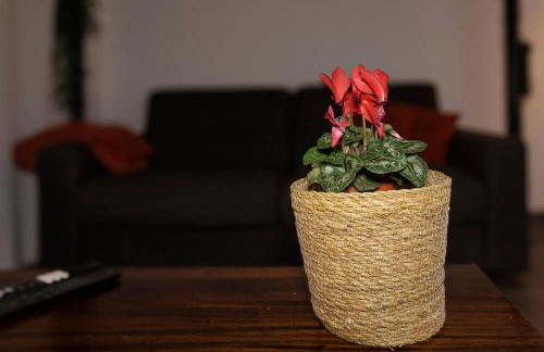 Manhattan Loft - centre - 5 mn à pied gare - parking privé - patio - Photo 28